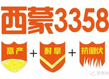 西蒙3358