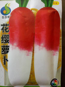 根茎类种子