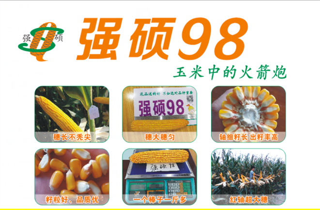 强硕98