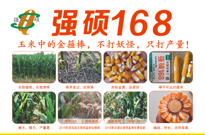 强硕168