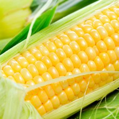 甜玉米
